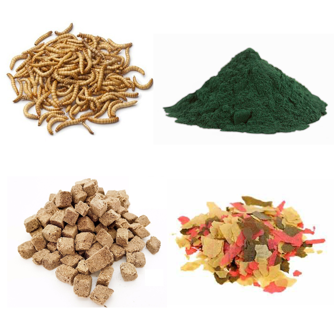 Imagen representativa
                               de la categoría Alimentos y suplementos