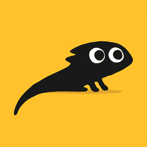 Imagen representativa
                               de la categoría Accesorios para mascotas exóticas